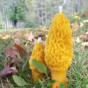 Michigan Beeswax Candles Morel Mushroom Candle Set Handmade 100% Beeswax Farmhouse Decor Cabin Rustic Gift image 3