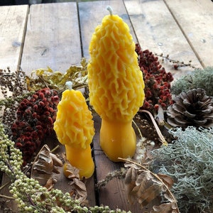 Michigan Beeswax Candles Morel Mushroom Candle Set Handmade 100% Beeswax Farmhouse Decor Cabin Rustic Gift image 1