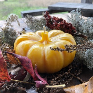Handmade Pumpkin Beeswax Candle - Pure Michigan Scented - 5.25&quot; x 2.25&quot;