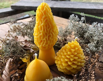 Michigan Nature Trio Beeswax Candle Set - Acorn - Pinecone - Morel Mushroom - Novelty Candle - Pure 100% Beeswax - Farmhouse Decor - Rustic