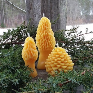 Michigan Beeswax Candle Set: Morel & Pinecone, Farmhouse Cabin Decor