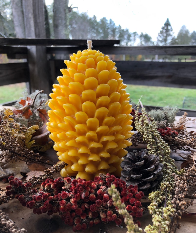 Large Beeswax Pinecone Candle Fall & Christmas Decor Etsy