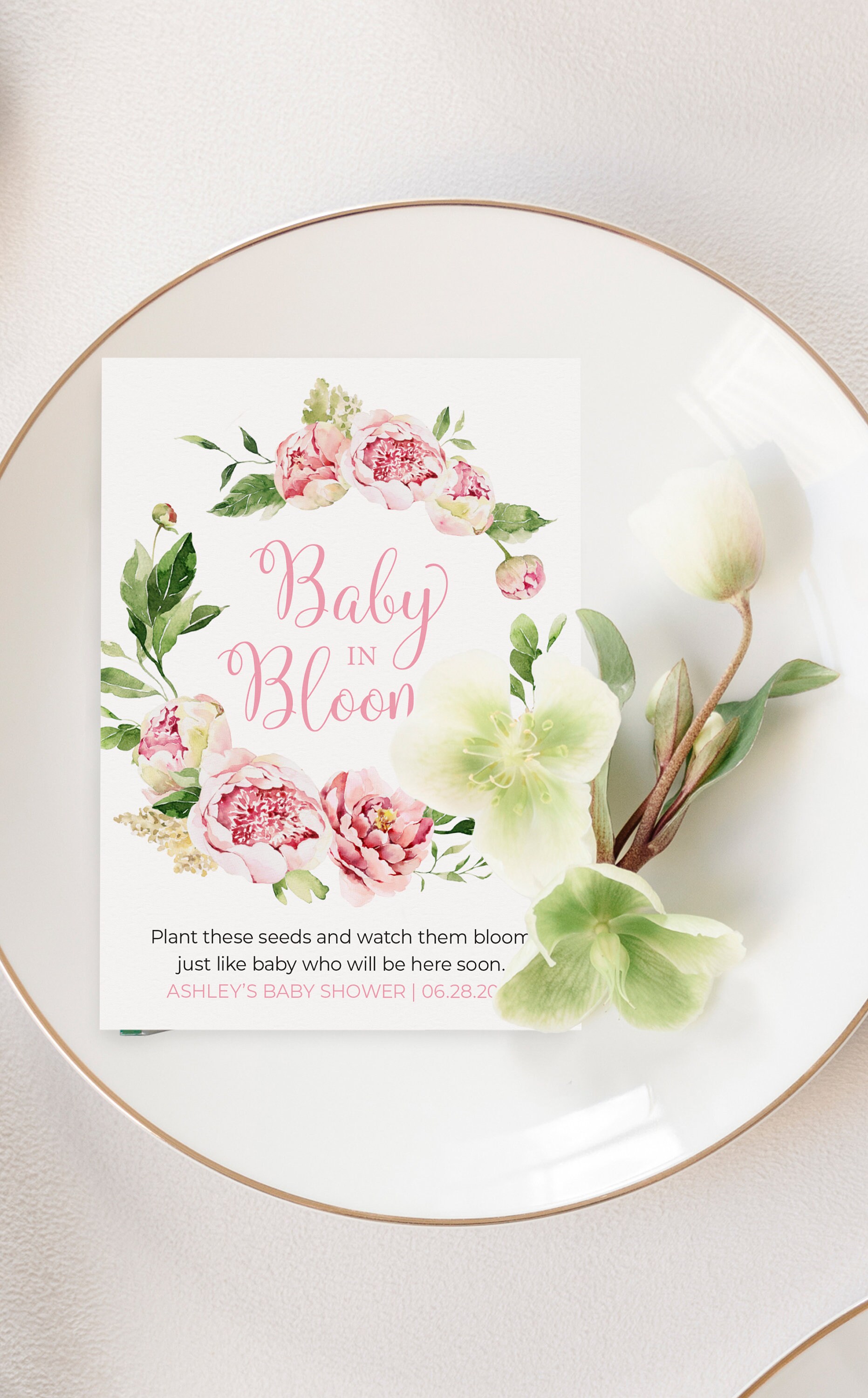 Temi Baby Shower Per Ragazzi Animali