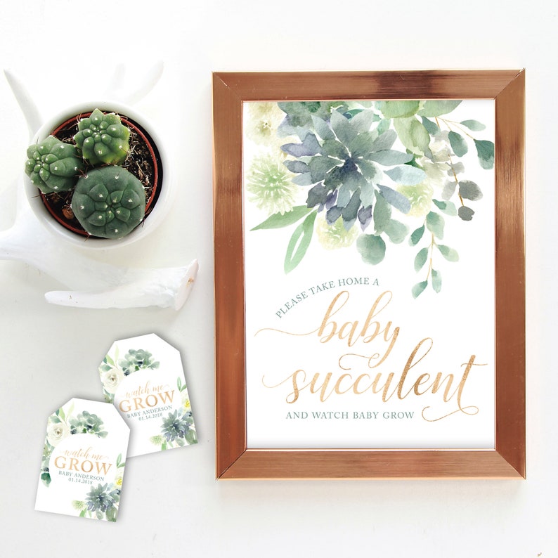 Succulent Watch Me Grow Favor Tags Printable Files - Succulent Baby Shower Sign - Baby Cactus Favors Sign and Tags image 7