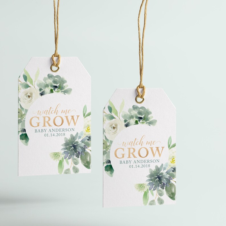 Succulent Watch Me Grow Favor Tags Printable Files - Succulent Baby Shower Sign - Baby Cactus Favors Sign and Tags image 9