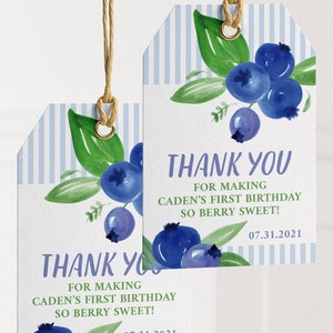 Blueberry Birthday Party Favour Tags Printable Thank You Tags for Boy Baby Shower First Birthday Party Favours Instant Download image 5