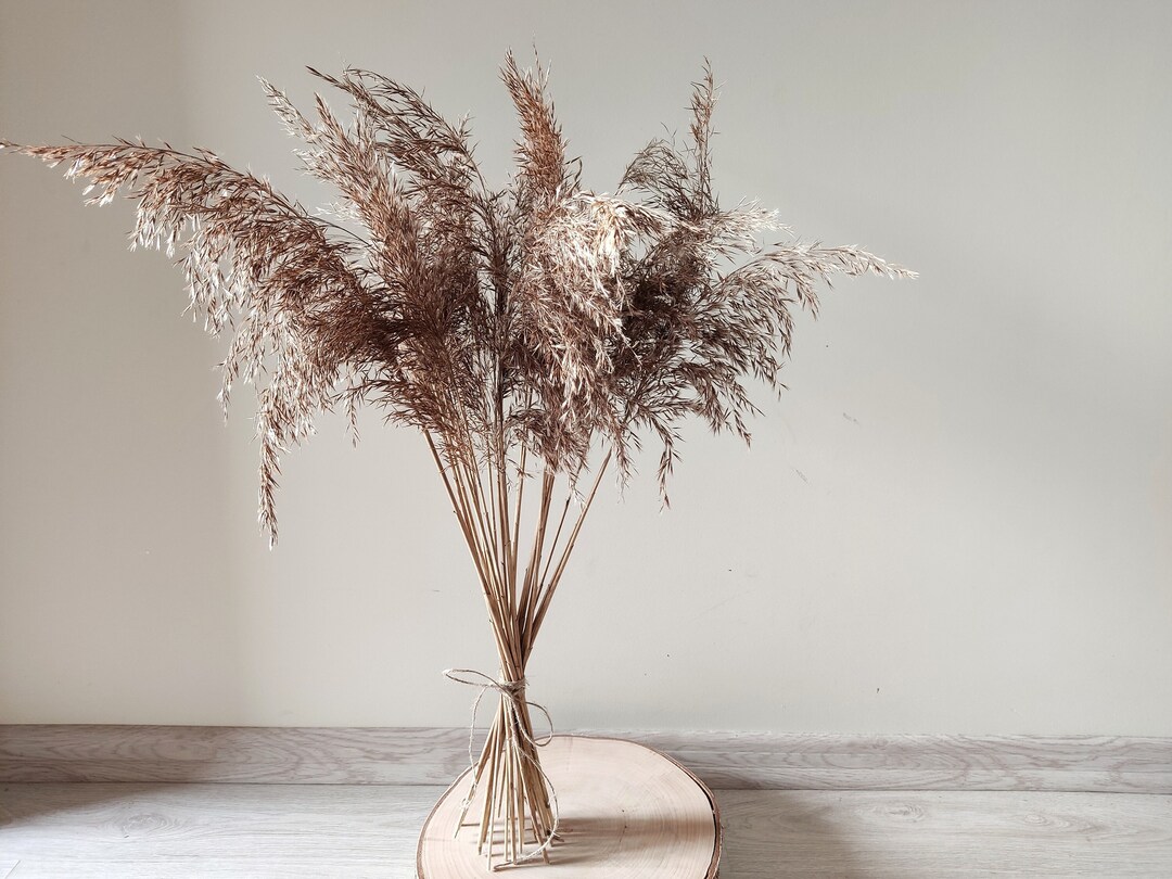 Rustic Feather Pampas Grass Bundle, Natural Dried Reed Arrangement Gift ...