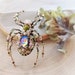 see more listings in the Spiders section