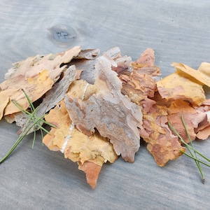 Natural Pine Tree Bark – Handpicked Forest Bark for Eco Crafts, Textured Art, Ritual Use, Nature Junk Journaling