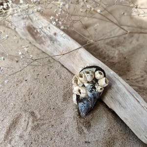 May include: A handcrafted, unique ring featuring a dark, shell-shaped base adorned with small, off-white barnacles. The ring rests on a piece of driftwood, set against a sandy background with delicate, dried flowers. A natural, coastal-inspired jewelry piece.