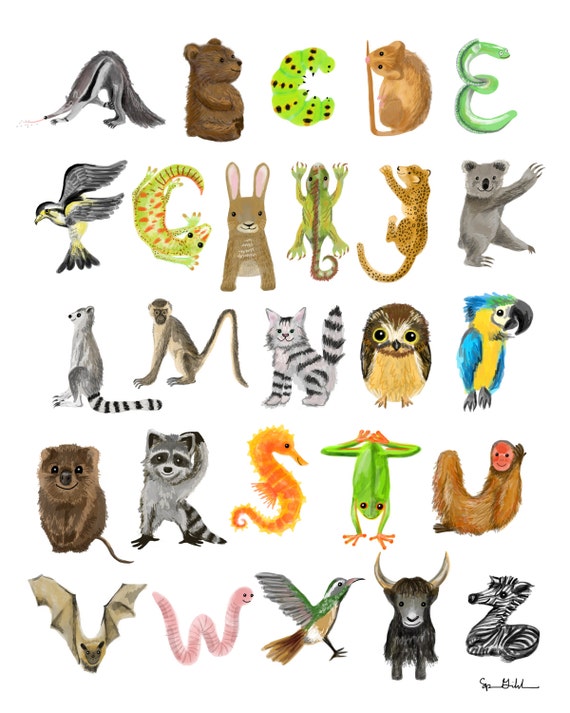 Full Animal Alphabet Print Etsy
