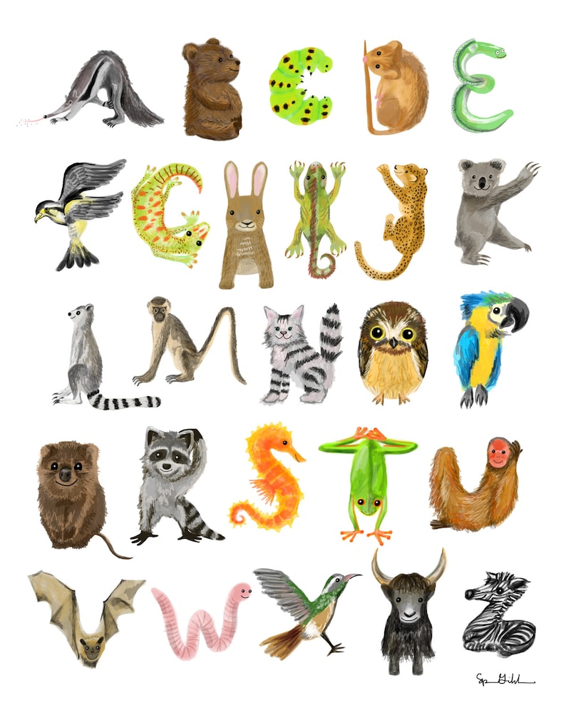 Alphabet complet Animal Print Etsy France
