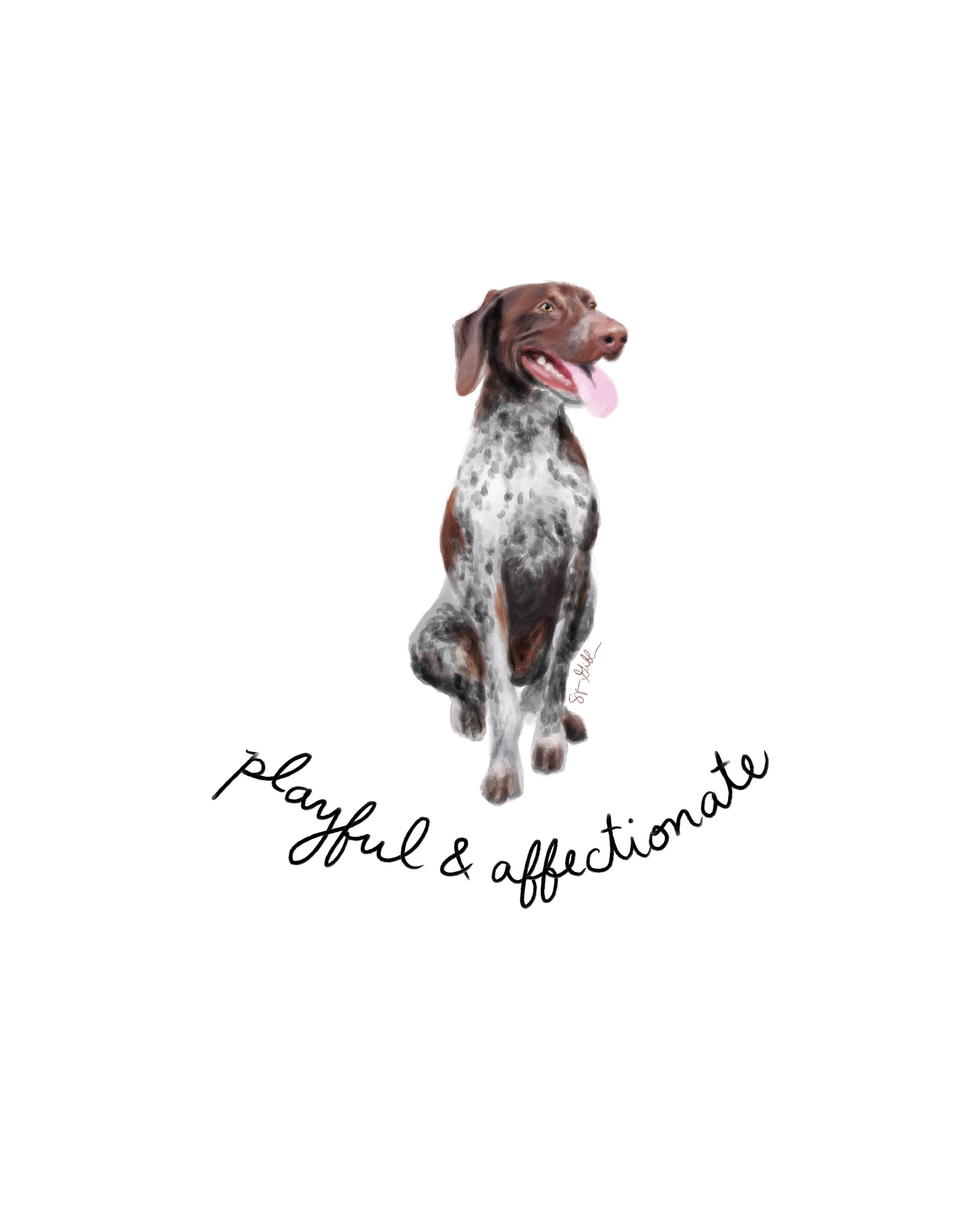 Are German Shorthaired Pointers Affectionate