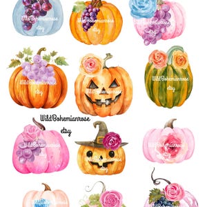May include: A collection of twelve watercolour illustrations featuring pumpkins in various colours including orange, pink, and green, decorated with purple grapes, blue and pink roses, and witch hats. The text WildBohemianrose etsy appears.