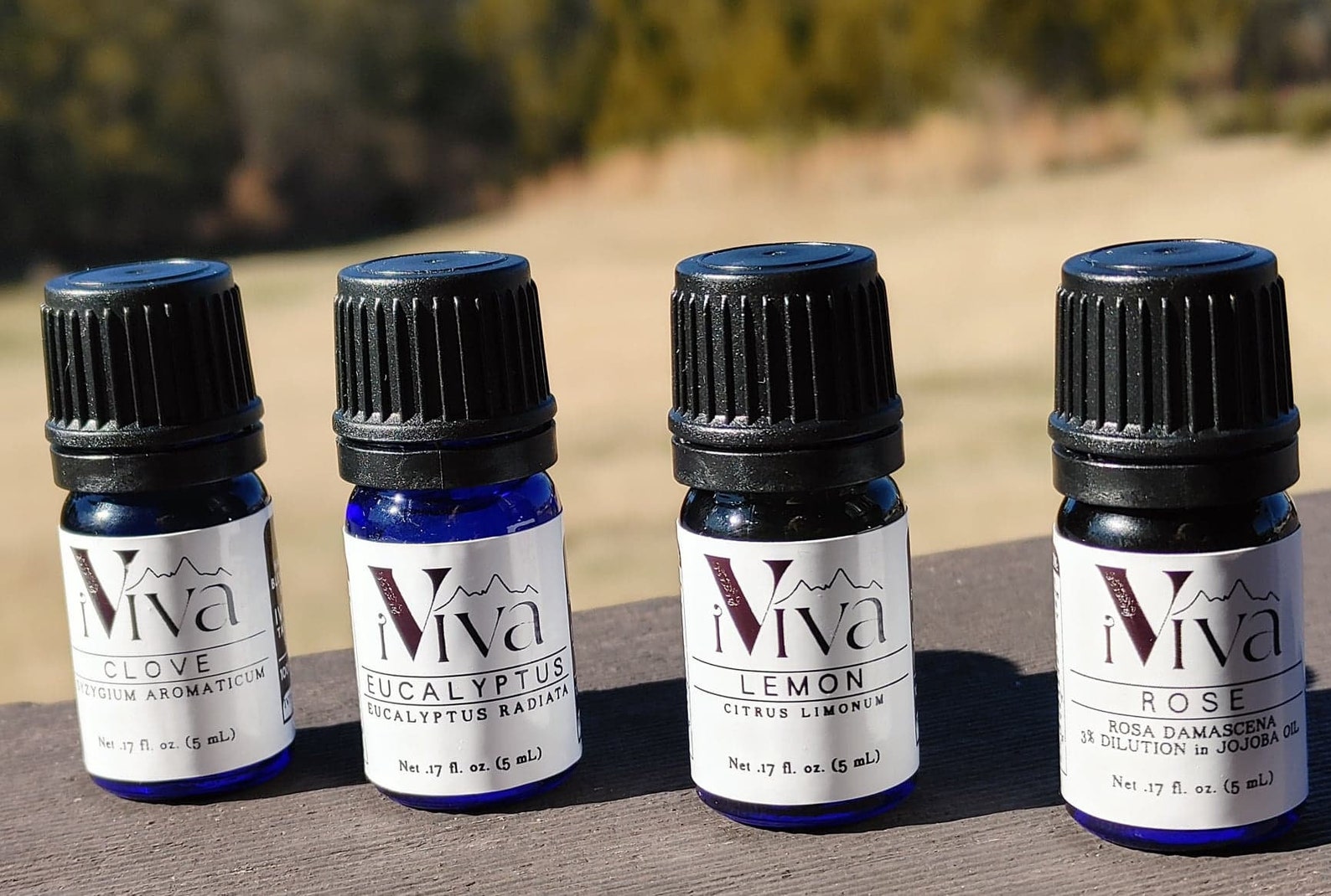 Smell Training Kit Pure Essential Oils Smell Kit Rose Oil Etsy