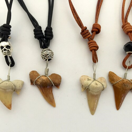 Shark Tooth Necklace Etsy