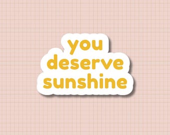 You Deserve Sunshine Sticker, Heated Rivalry Hockey Romance Vinyl Sticker, Matte or Glossy, Water Resistant Bookish Sticker