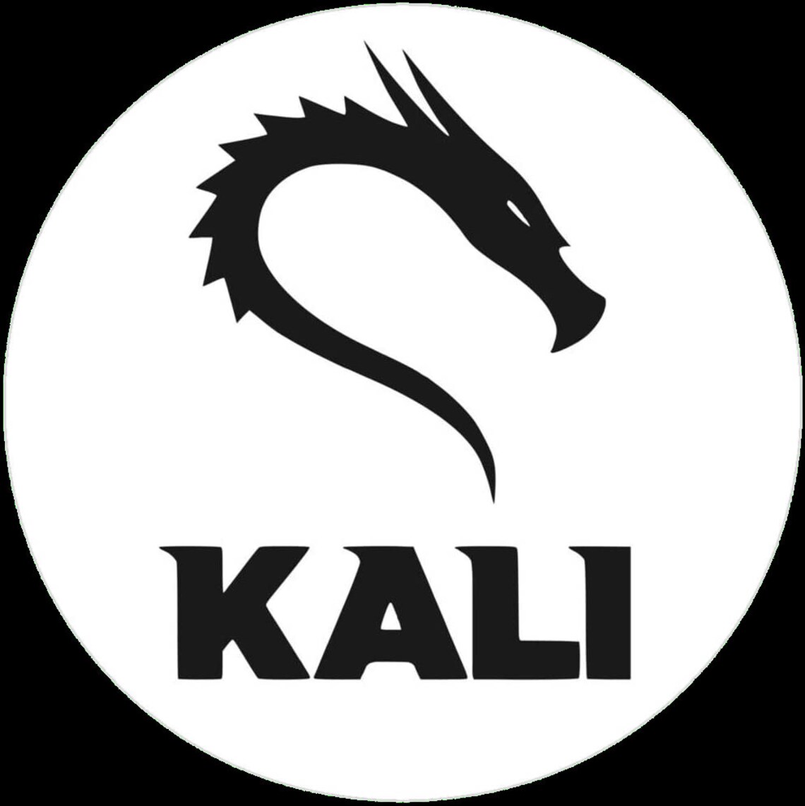 Kali Linux For Raspberry Pi Microsd Card Compatible With RPI 2 3 4