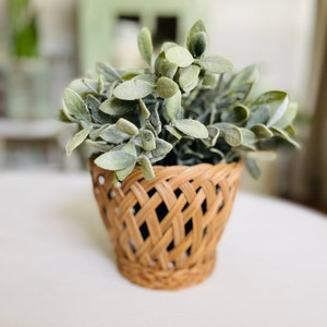 Woven Rattan Basket Plant Pot / Vintage Basket / Basket Pot