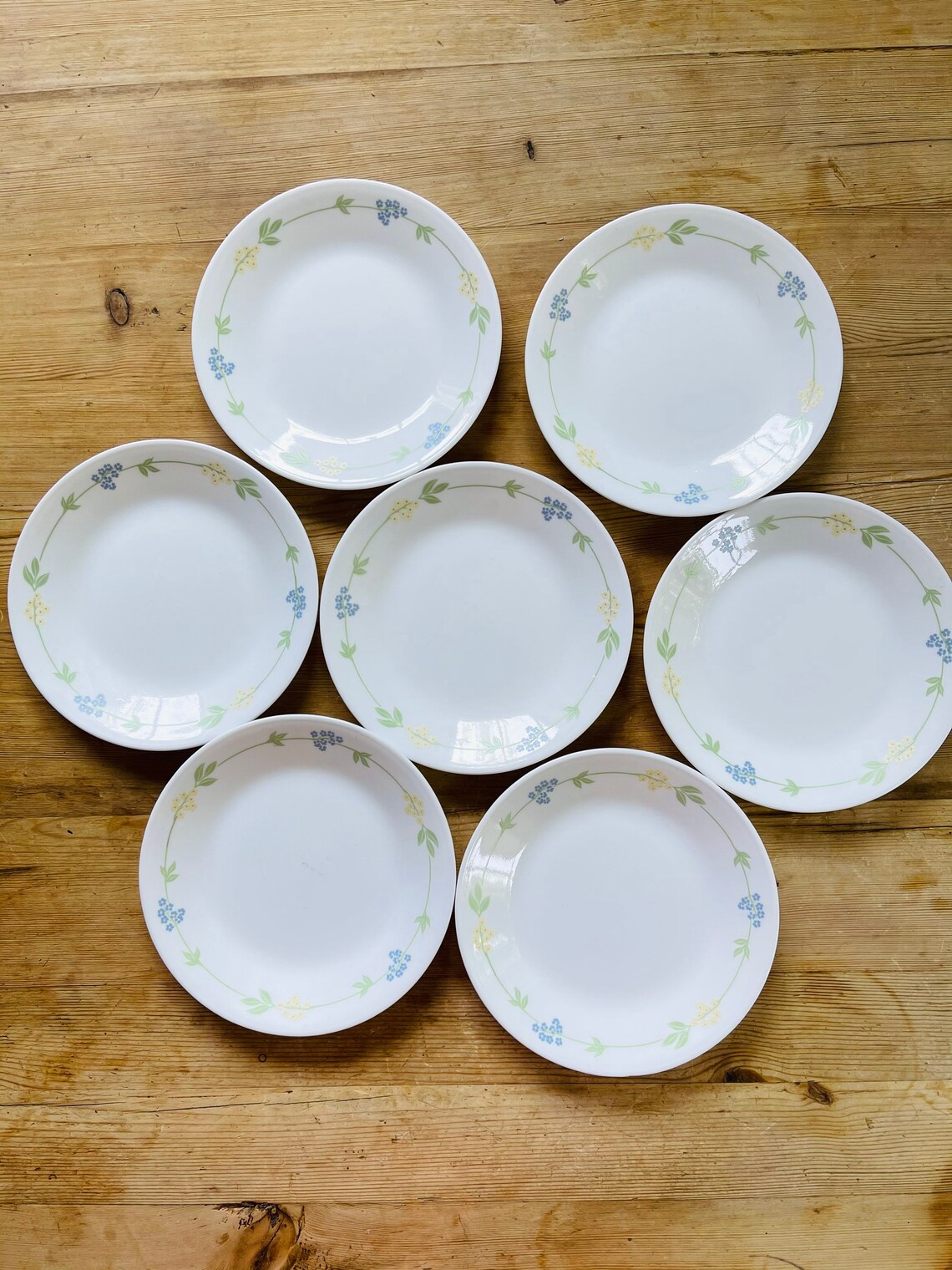Set Of 7 Corelle Vitrelle Secret Garden Plates By Corning / Etsy