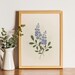 see more listings in the Color Birth Flower Print section