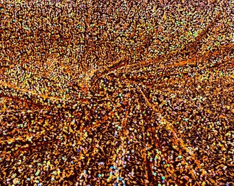 Orange Iridescent On Black stretch velvet with luxury sequins all over 5mm shining sequins 2-way stretch, sold by the yard.