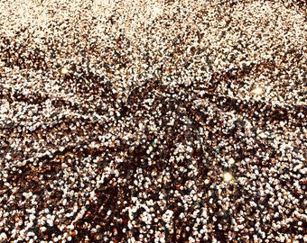 Rose gold 5mm sequins on a black stretch velvet 2-way stretch, sold by the yard.