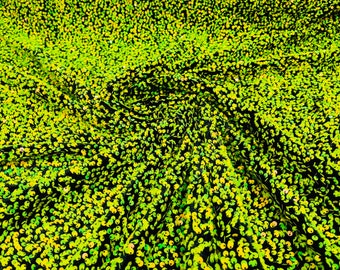 Neon green iridescent All-Over 5mm Shiny Sequins Black Stretch Velvet 54" Wide.