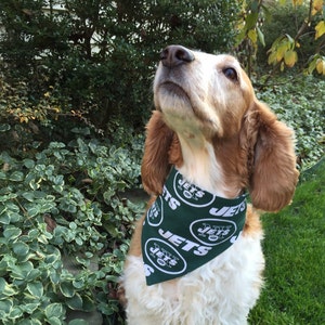 New York Jets Dog Jersey - Medium