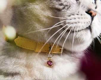 caviar cat collar