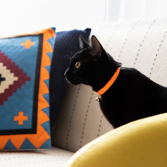 Neon collar 2025