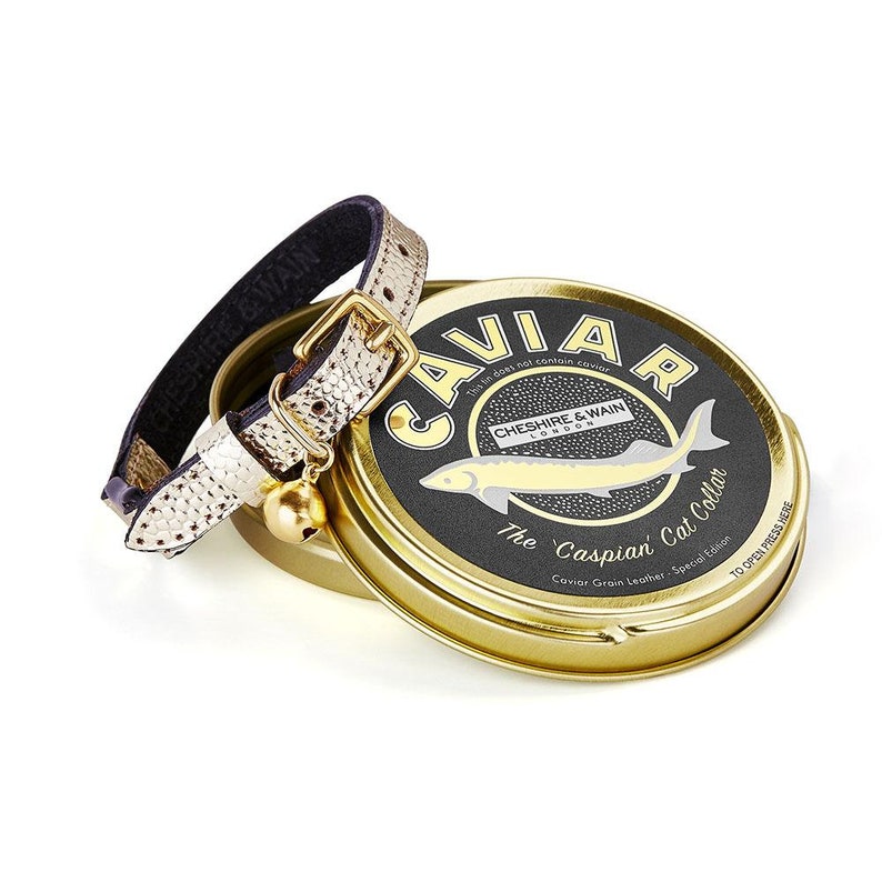 Luxury Gold 'Caspian' Cat Collar with Breakaway Buckle image 0