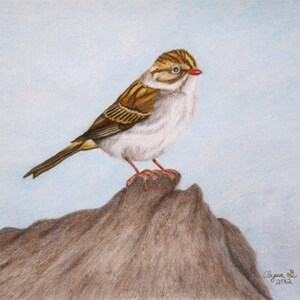 Eye on the Sparrow Print 8x10- Original SOLD