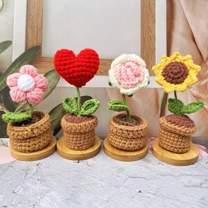 Artisanal Crochet Flower Pot - Shaped Flower - Charming Crochet Potted Plants, Eternal Blooms - Perfect Gift for Her