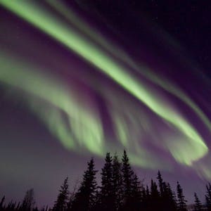 Northern Lights, Aurora Borealis, Alaska Photography, Nature Photography, Fine Art Photography, Original Fine Art, 8x10 Print, 11x14 Print