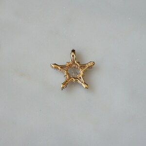 P Diamond Designs Star Scarf Slide