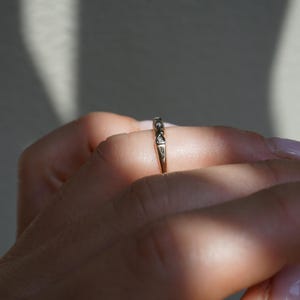 May include: A gold ring featuring a repeating design of small, clear stones. The ring is worn on a finger, with sunlight creating shadows. The ring's intricate details are highlighted. The ring is a piece of jewellery.