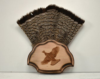 Taxidermy plaque | Etsy