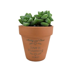 May include: A terracotta pot with a succulent plant. The pot is engraved with the text "Ashley and Chris, love is blooming, 10.26.21".