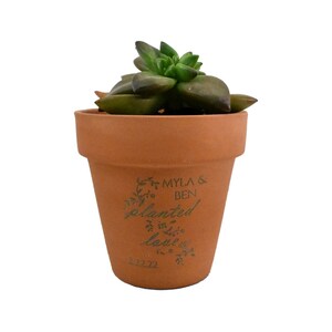 May include: A terracotta pot with a succulent plant. The pot is decorated with the text "Myla & Ben planted in love 2022".