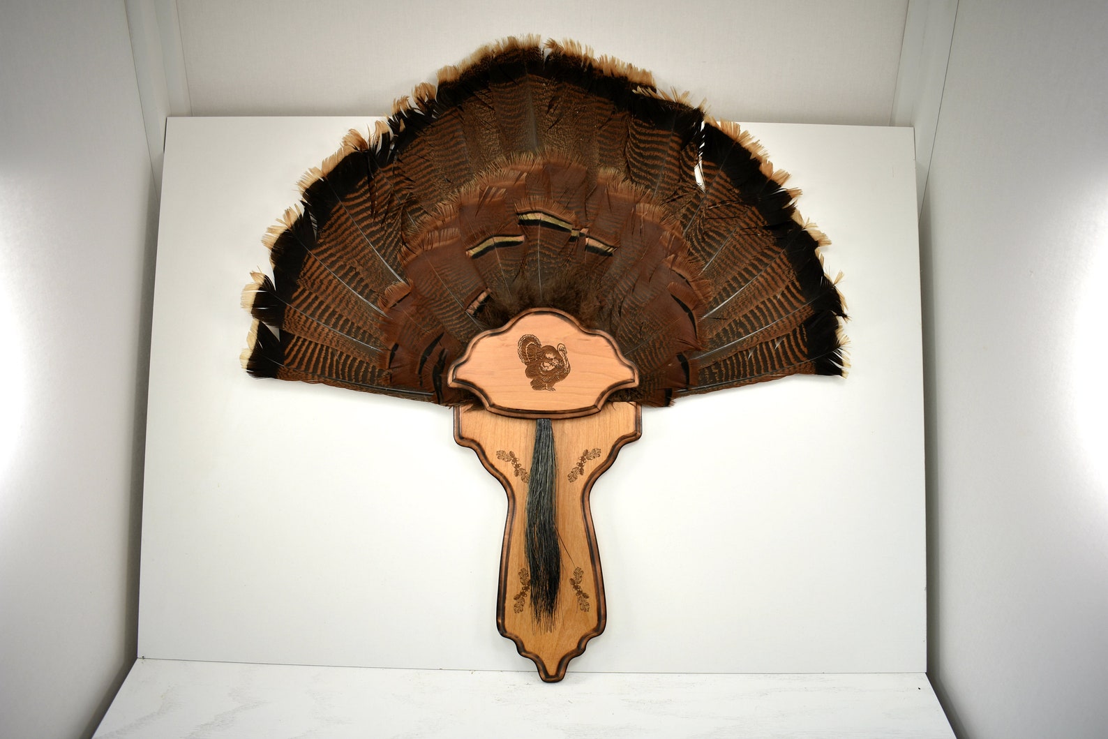 Turkey Tail Wall Mount Turkey Fan Mount Taxidermy Bird Wood Etsy