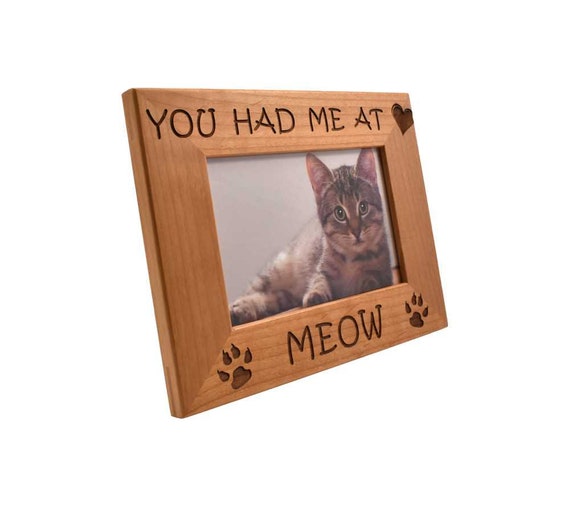 Cadre photo gravé personnalisé pour chat Cadeaux pour les chats Cadeau  commémoratif souvenir de chat pour chat Cadeau de papa de chat Vous mavez  eu à Meow -  France