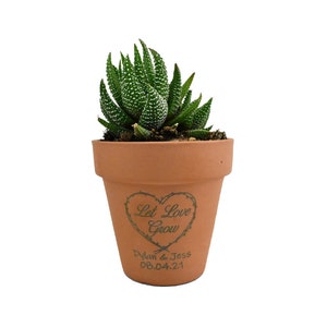 Puede incluir: Una pequeña planta suculenta en una maceta de terracota. La maceta está inscrita con "Let Love Grow", los nombres "Dylan & Jess" y la fecha "08.04.21". La suculenta tiene hojas verdes con puntos blancos.
