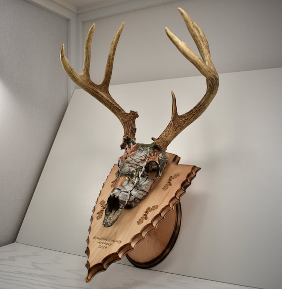 European Deer Skull Mount Wall Table Pedestal Plaque Burned Pine Arrowhead 