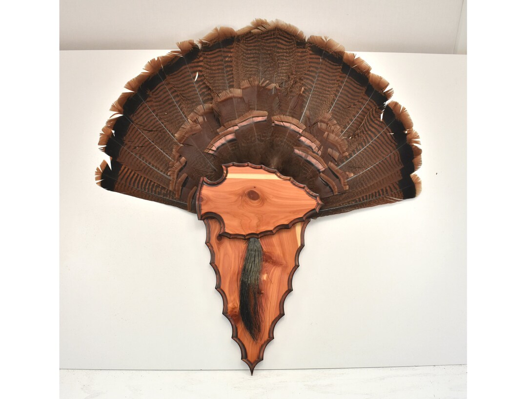 Arrowhead 2 Piece Turkey Fan Wall Mount Plaque Taxidermy Bird Turkey