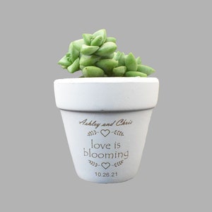 Bulk White Clay Pot Wedding Favors- Unique Wedding Favors For Guests In Bulk- Love Is Blooming Mini Terra Cotta Pots- Small Succulent Pot