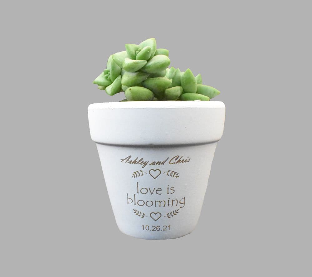 Bulk White Clay Pot Favors