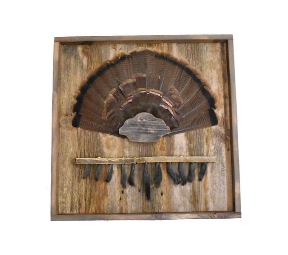 Barnwood Turkey Shadow Box with Tail Cap and Beard Hanger Etsy