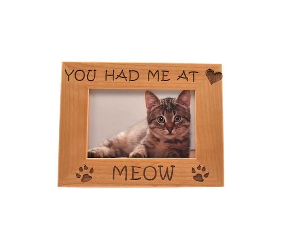 Cadre photo gravé personnalisé pour chat Cadeaux pour les chats Cadeau  commémoratif souvenir de chat pour chat Cadeau de papa de chat Vous mavez  eu à Meow -  France