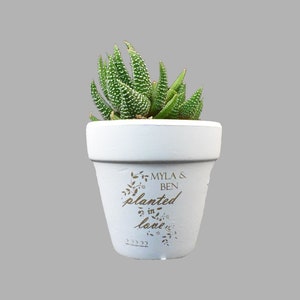 White Clay Pot Wedding Favors For Guests In Bulk- Unique Bulk Wedding Favors- Small Plant Pot- Planted in Love Mini Terra Cotta Pot